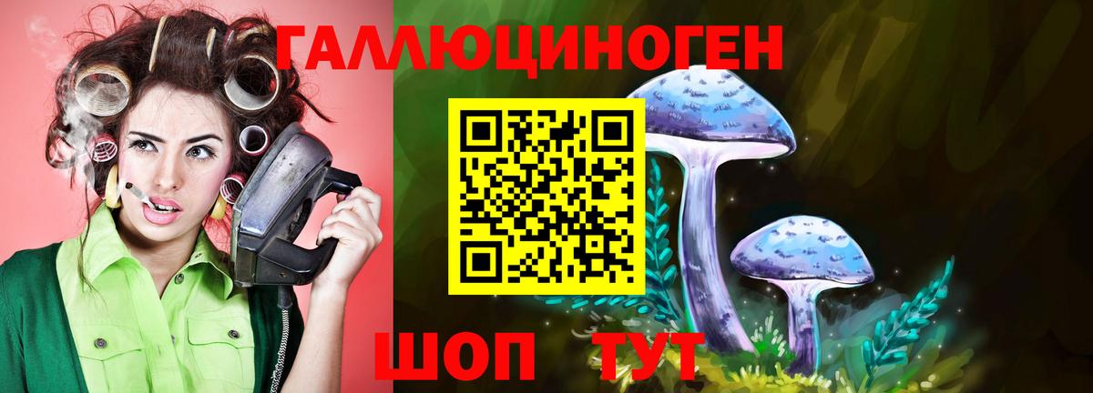 Галлюциногенные грибы мухоморы Крымск