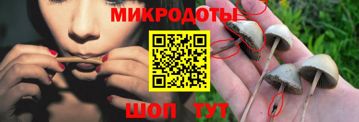 Крымск  Псилоцибиновые грибы Magic Shrooms  Вход с VPN 