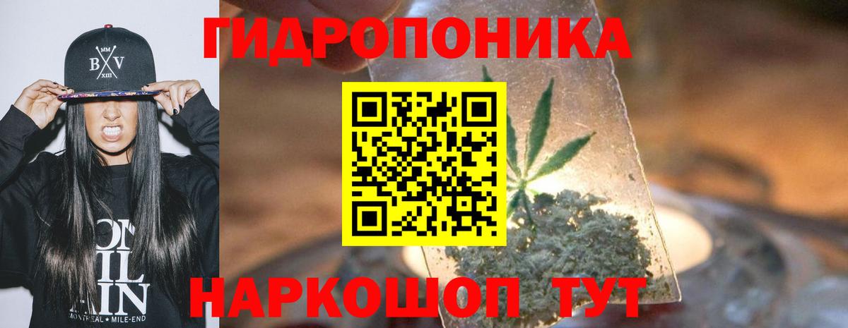 Каннабис план Крымск